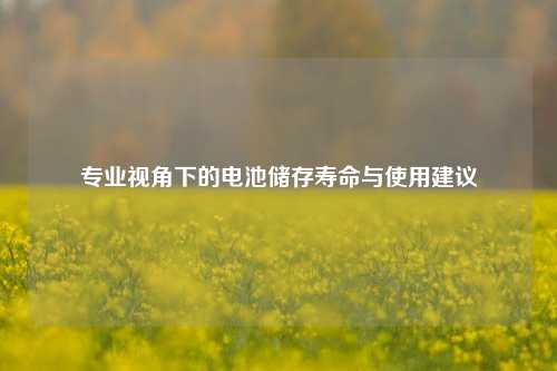 专业视角下的电池储存寿命与使用建议