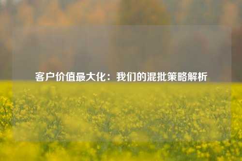 客户价值最大化：我们的混批策略解析