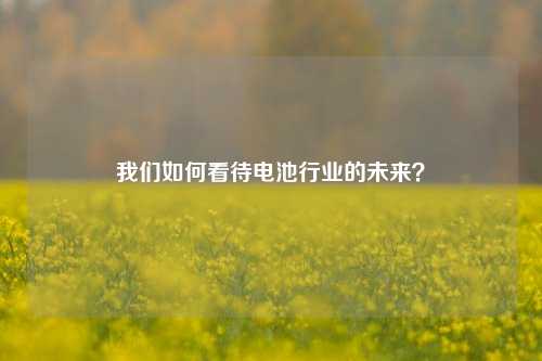 我们如何看待电池行业的未来？