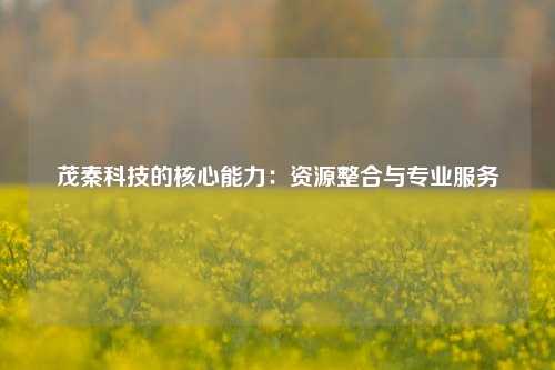 茂秦科技的核心能力：资源整合与专业服务