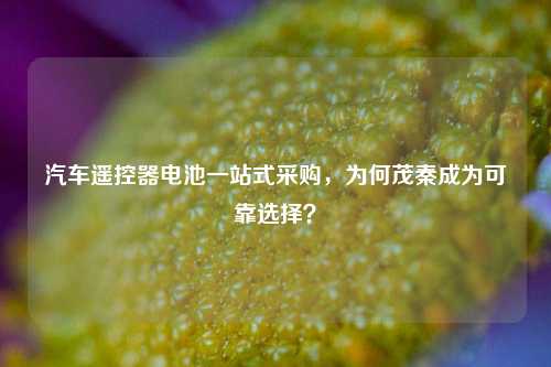 汽车遥控器电池一站式采购，为何茂秦成为可靠选择？
