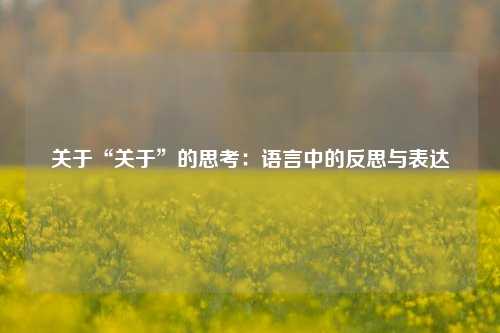关于“关于”的思考：语言中的反思与表达