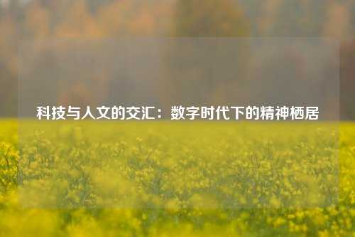 科技与人文的交汇：数字时代下的精神栖居