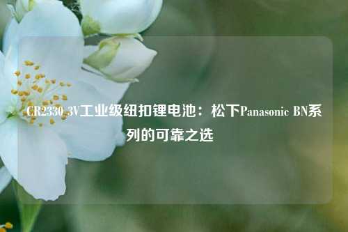 CR2330 3V工业级纽扣锂电池：松下Panasonic BN系列的可靠之选  