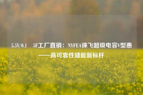 5.5V/0.1–5F工厂直销：NYFEA徕飞超级电容V型惠——高可靠性储能新标杆