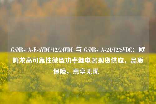 G5NB-1A-E-5VDC/12/24VDC 与 G5NB-1A-24/12/5VDC:欧姆龙高可靠性微型功率继电器现货供应,品质保障,惠享无忧 G5NB-1A-E-5VDC/12/24VDC 与 G5NB-1A-24/12/5VDC:欧姆龙高可靠性微型功率继电器现货供应,品质保障,惠享无忧