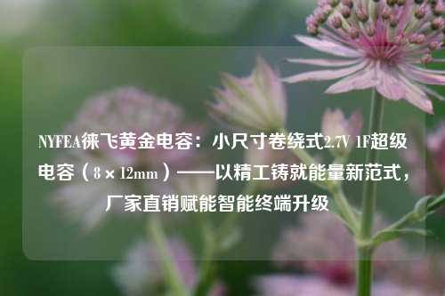 NYFEA徕飞黄金电容:小尺寸卷绕式2.7V 1F超级电容(8×12mm)——以精工铸就能量新范式,厂家直销赋能智能终端升级 NYFEA徕飞黄金电容:小尺寸卷绕式2.7V 1F超级电容(8×12mm)——以精工铸就能量新范式,厂家直销赋能智能终端升级