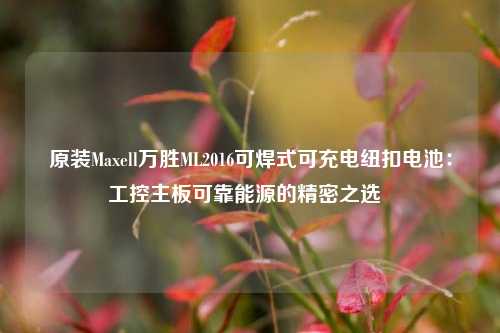 原装Maxell万胜ML2016可焊式可充电纽扣电池：工控主板可靠能源的精密之选  