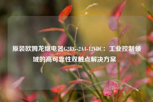 原装欧姆龙继电器G2RG-2A4-12VDC：工业控制领域的高可靠性双触点解决方案  