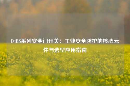 D4BS系列安全门开关：工业安全防护的核心元件与选型应用指南