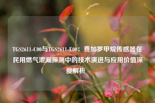 TGS2611-C00与TGS2611-E00:费加罗甲烷传感器在民用燃气泄漏探测中的技术演进与应用价值深度解析 TGS2611-C00与TGS2611-E00:费加罗甲烷传感器在民用燃气泄漏探测中的技术演进与应用价值深度解析