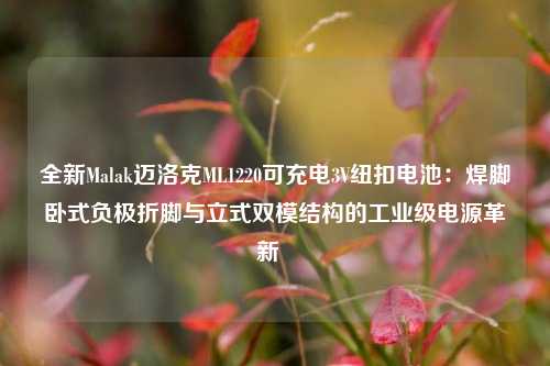 全新Malak迈洛克ML1220可充电3V纽扣电池:焊脚卧式负极折脚与立式双模结构的工业级电源革新 全新Malak迈洛克ML1220可充电3V纽扣电池:焊脚卧式负极折脚与立式双模结构的工业级电源革新