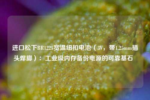 进口松下BR1225宽温纽扣电池(3V,带1.25mm插头焊脚):工业级内存备份电源的可靠基石 进口松下BR1225宽温纽扣电池(3V,带1.25mm插头焊脚):工业级内存备份电源的可靠基石