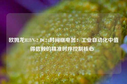 欧姆龙H3YN-2 DC24时间继电器：工业自动化中值得信赖的精准时序控制核心  