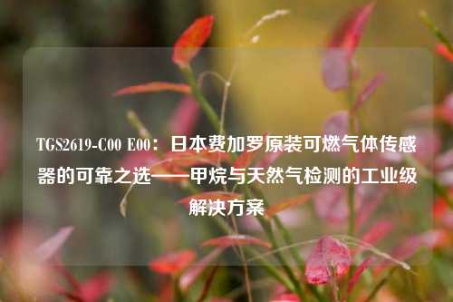 TGS2619-C00 E00:日本费加罗原装可燃气体传感器的可靠之选——甲烷与天然气检测的工业级解决方案 TGS2619-C00 E00:日本费加罗原装可燃气体传感器的可靠之选——甲烷与天然气检测的工业级解决方案