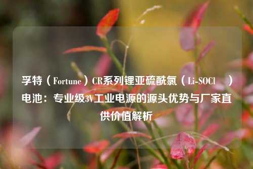 孚特（Fortune）CR系列锂亚硫酰氯（Li-SOCl₂）电池：专业级3V工业电源的源头优势与厂家直供价值解析