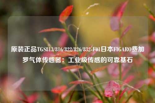 原装正品TGS813/816/822/826/832-F01日本FIGARO费加罗气体传感器:工业级传感的可靠基石 原装正品TGS813/816/822/826/832-F01日本FIGARO费加罗气体传感器:工业级传感的可靠基石