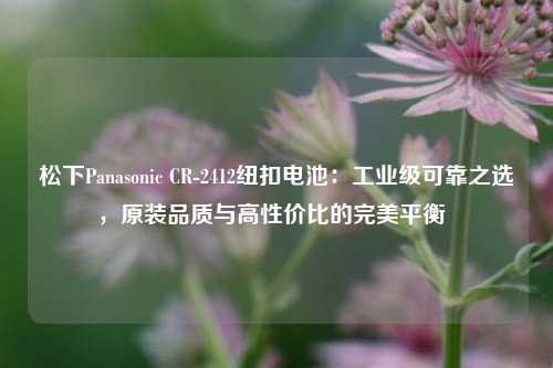 松下Panasonic CR-2412纽扣电池：工业级可靠之选，原装品质与高性价比的完美平衡  