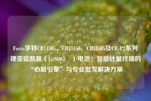 Forte孚特CR14505、CR17450、CR18505及CR-P2系列锂亚硫酰氯（Li-SOCl₂）电池：智能计量终端的“心脏引擎”与专业批发解决方案  